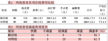 关于阑尾炎患者的临床护理心得的毕业论文格式范文