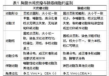 胸腹水涂片诊断间皮瘤误诊分析