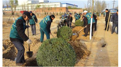 探究园林绿化工程差别化管理