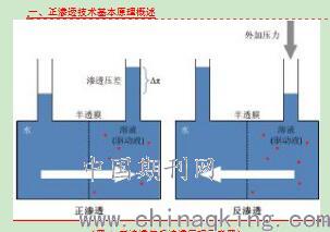 高渗透原理是什么_景观渗透是什么意思