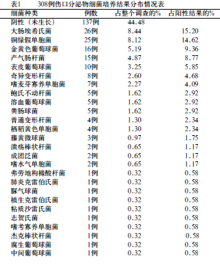 外科病人手术切口分泌物细菌培养结果分析