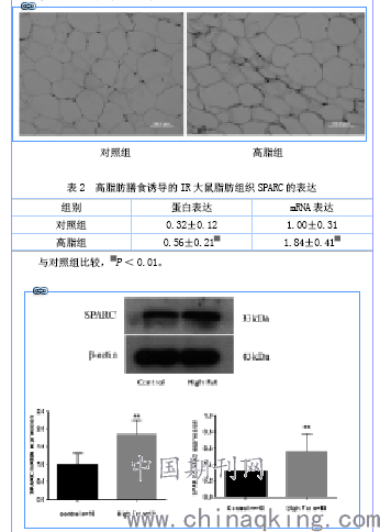 以下属于血糖检测原理的是什么意思(3)