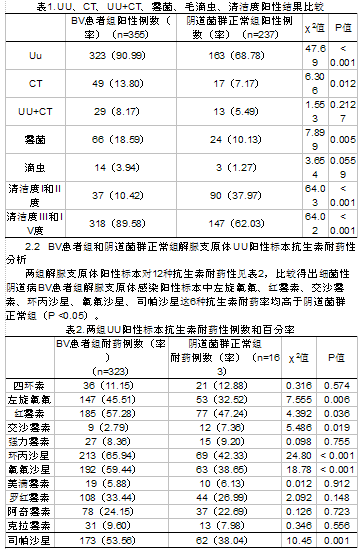 细菌性阴道病解脲支原体和沙眼衣原体检测结果
