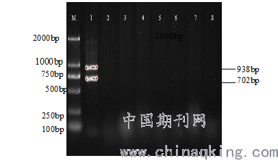 m:marker dl2000;1:单增李斯特菌标准株;2:阴性对照