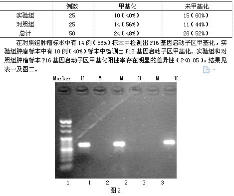 125I粒子对结直肠癌SFRP2及P16基因甲基化影