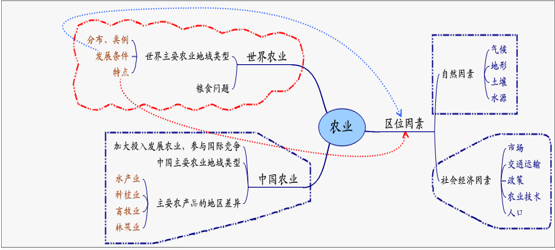 浅谈思维导图在少数民族地区高中地理教学中的