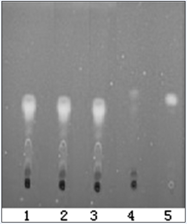 益本 胶囊质量标准的研究