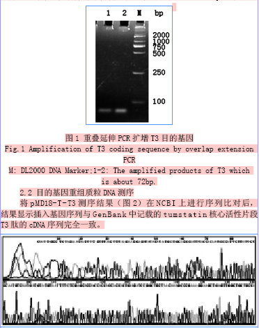 重叠延伸PCR法构建肿瘤抑素核心活性部位T3