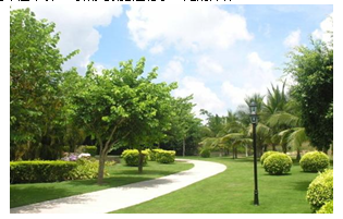 关于园林绿化植栽组合与成本的探究