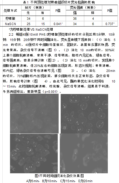 胃癌组织HER-2基因扩增Fish法检测的条件优化