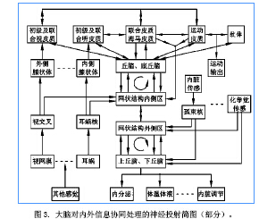 能控制别人的思维是什么原理_什么是思维导(2)