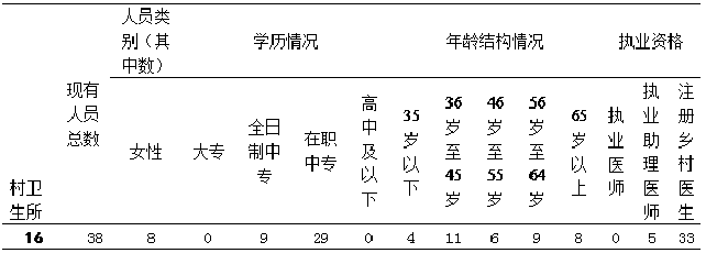 浅谈洪塘镇村卫生所人才队伍建设现状及存在问题