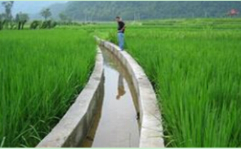 节水灌溉技术在农田水利中的应用分析