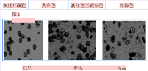 海金沙掺伪的鉴别