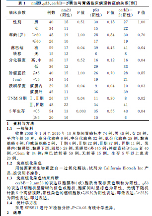 胃癌nm23、p53、cerbB-2的表达与其预后关系