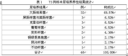 小儿泌尿系统感染的临床特点及尿培养情况探究