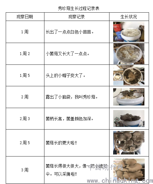 幼儿园班本课程的探索与反思——以小班班本课程《探秘菌菇》为例