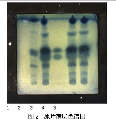 薄层色谱板