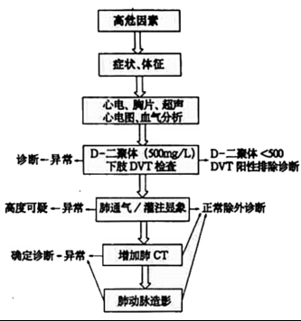 【摘要】目的:对肺血栓栓塞症的诊断方法与相关评价展开探讨