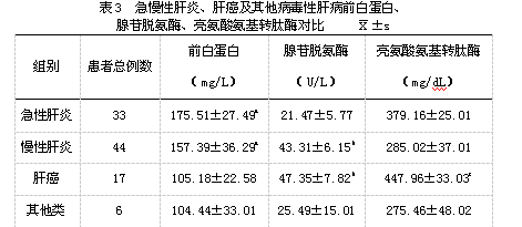 打印预览
