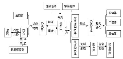 紧抓概念,做好高中生物教学