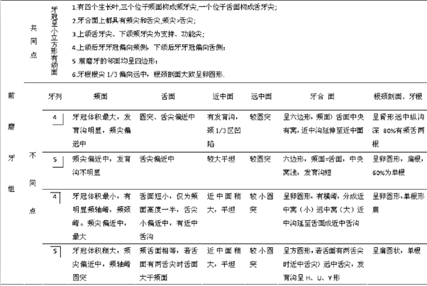 "比较教学法"在牙体解剖生理教学中的运用