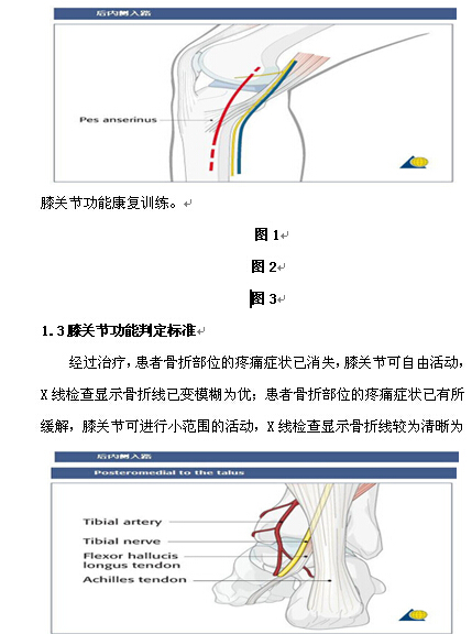 后内侧入路手术治疗胫骨平台后内侧骨折的临床分析