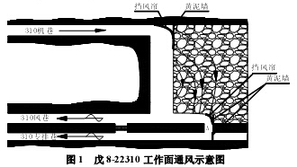 平煤六矿戊8-22310工作面瓦斯涌出来源分析