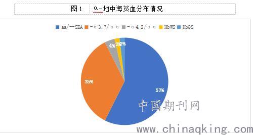 天网：旧案寻凶