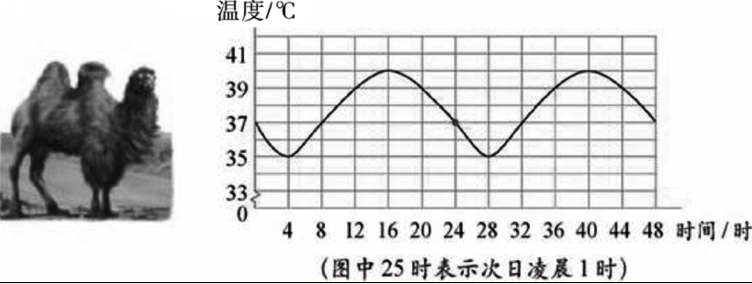 对新课改下农村小学数学教学的思考 - 学术交流